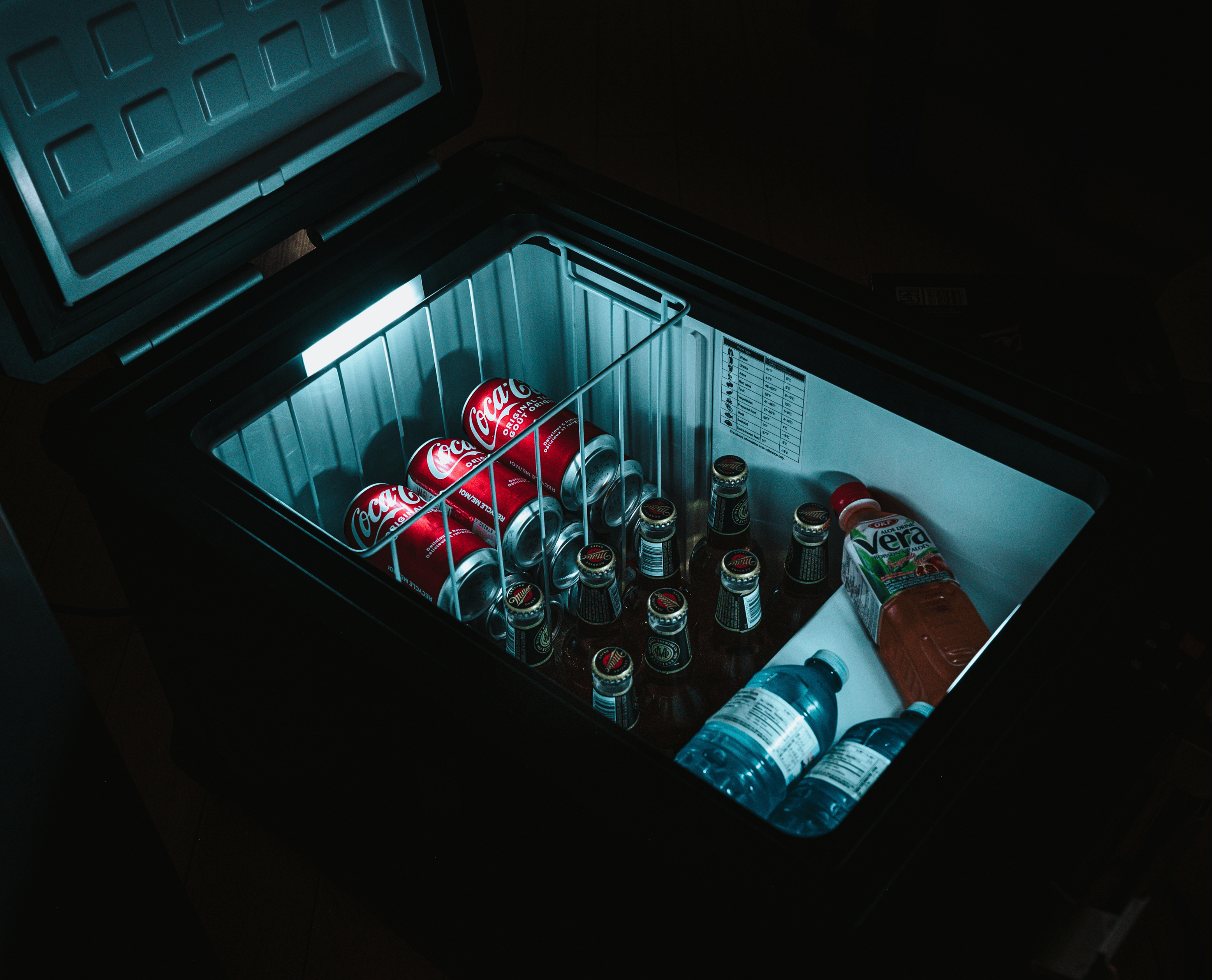 ICECO APL 55 Compressor-Fridge